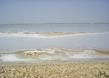 Salt water