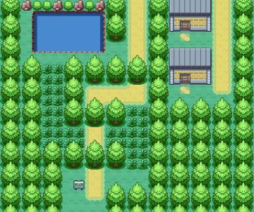 Route 317