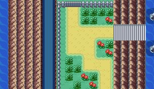 Route 307