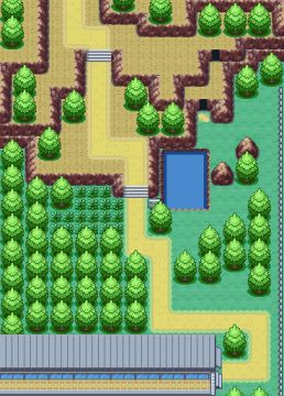 Route 311, les choses serieuses commencent