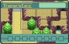 T-card vide - Route 311