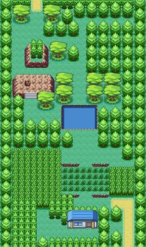 Route 315