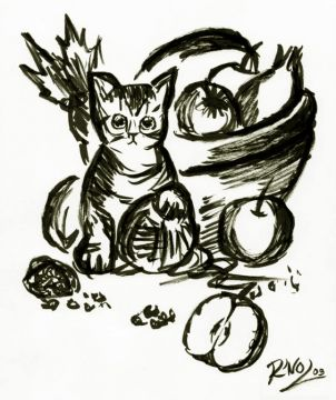 Chat au Panier