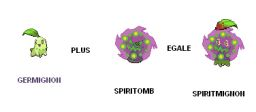 Spiritmignon