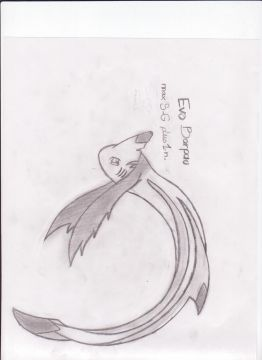 It's new Pokemon!