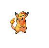 Salachu