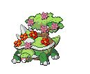 un torterra en fleur...