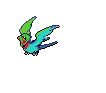 hirondelle colors