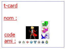 nouvelle t-card
