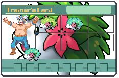 les shaymin nous envai !!!