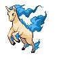 galopa shiney