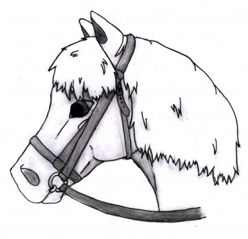 encore un dessin