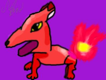 Renard de feu