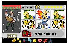 Maître Pokémon