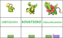 LES STARTERS PLANTE