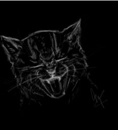 A cat in black & white ...