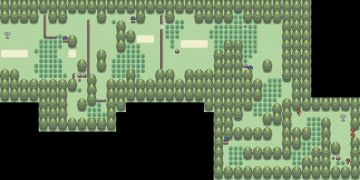 route 302