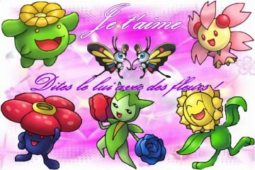 1- Saint Valentin de 2009 (un peu en retard)