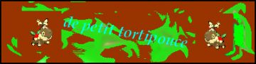 petittortipouce