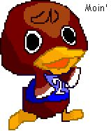 Choco, le petit canard ! ^^