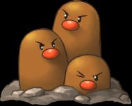 trio trio