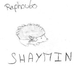 shaymin heureux