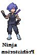 Ninja des temps anciens.
