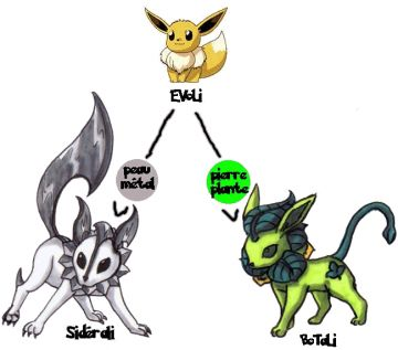 évoli et ses évolution