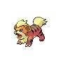 Animations