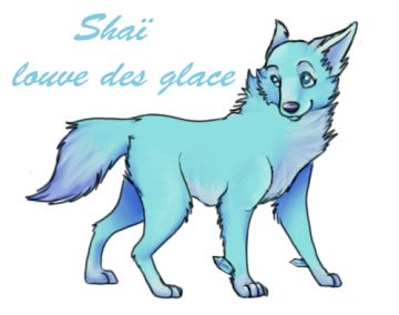 Shaï louve des glace