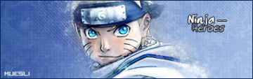 Ninja Heroes