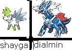 shayga et dialmin