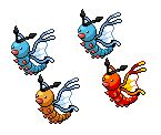 Nouveau poke !