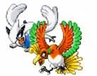 lugia et ohoh