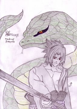 Sasuke ...eh non c'est pas du pokémon !!