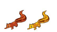renard