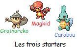 ~~~ LES TROIS STARTERS DE  MA SAISON VERSION AGATHE/AIGUE-MARINE/TOPAZE ~~~