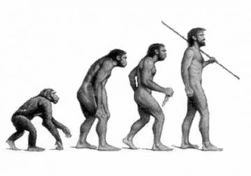 voisi la veriter de nos origines. l'homme est enfait un pokemon ????????!!!!!!!!!!!!!!!!!!