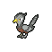 Pokémon #521f