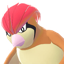 Pokémon #17