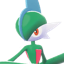 Pokémon #475