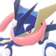 Pokémon #658