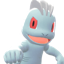 Pokémon #66