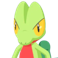 Pokémon #252