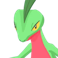 Pokémon #253