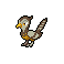 Pokémon #521f