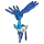 Pokémon #716d