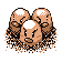 Pokémon #51 1G