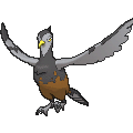 Pokémon #521f 6G
