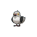 Pokémon #519 7G